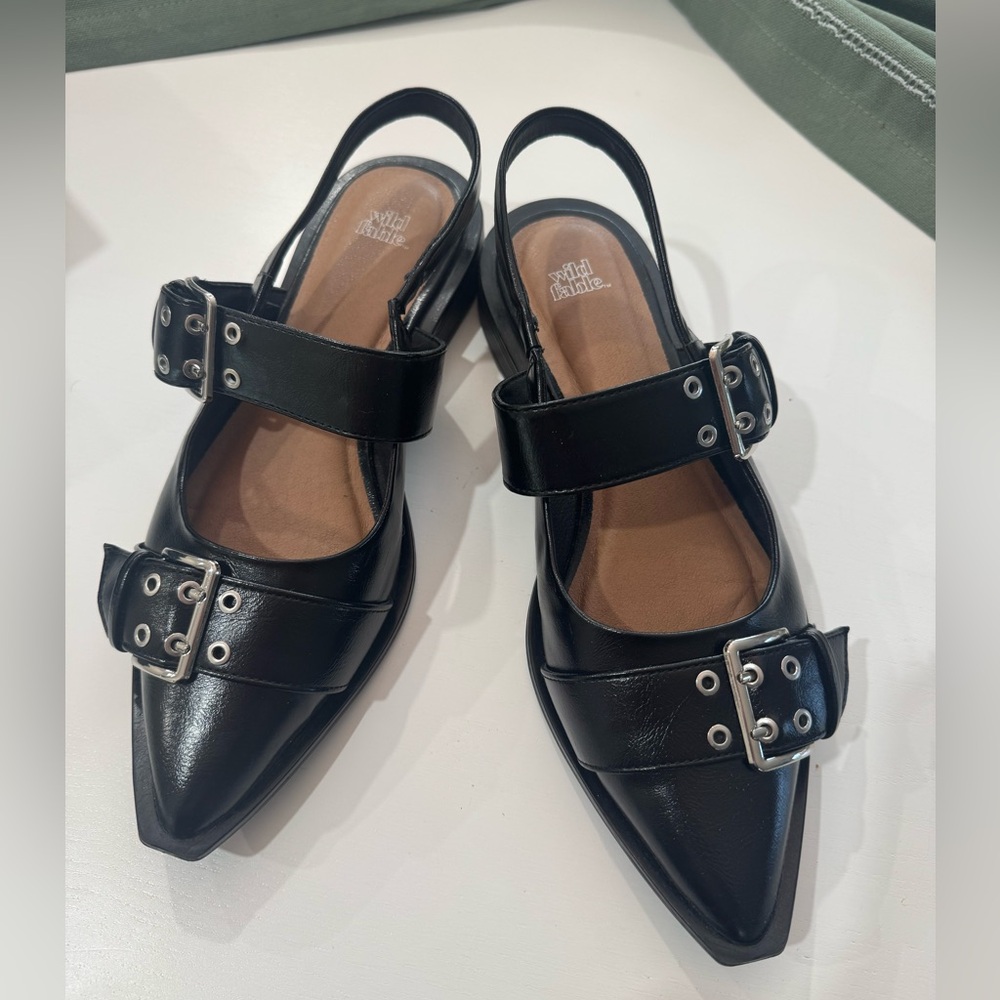 wild fable Black Pointed Buckle Slingback Flats with Double Straps